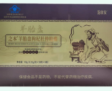 保健食品与保健食品生产 守护健康的科学与艺术