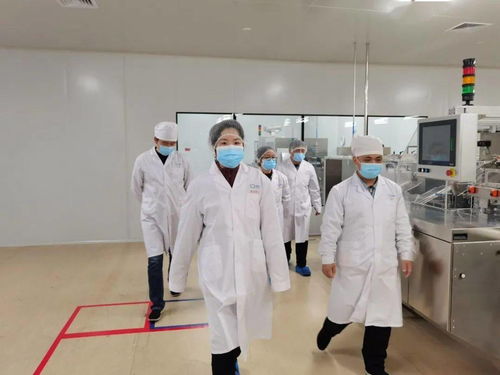 春节护航 区市场监管局开展保健食品节前大检查